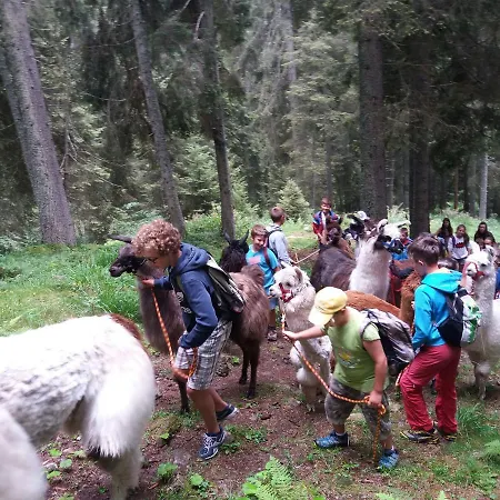 Nel Doch Cheia Hotel